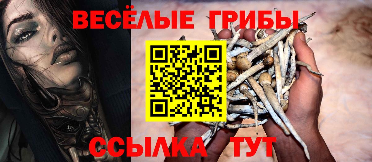 сколько стоит  Вход с VPN  Всеволожск  Псилоцибиновые грибы мухоморы 